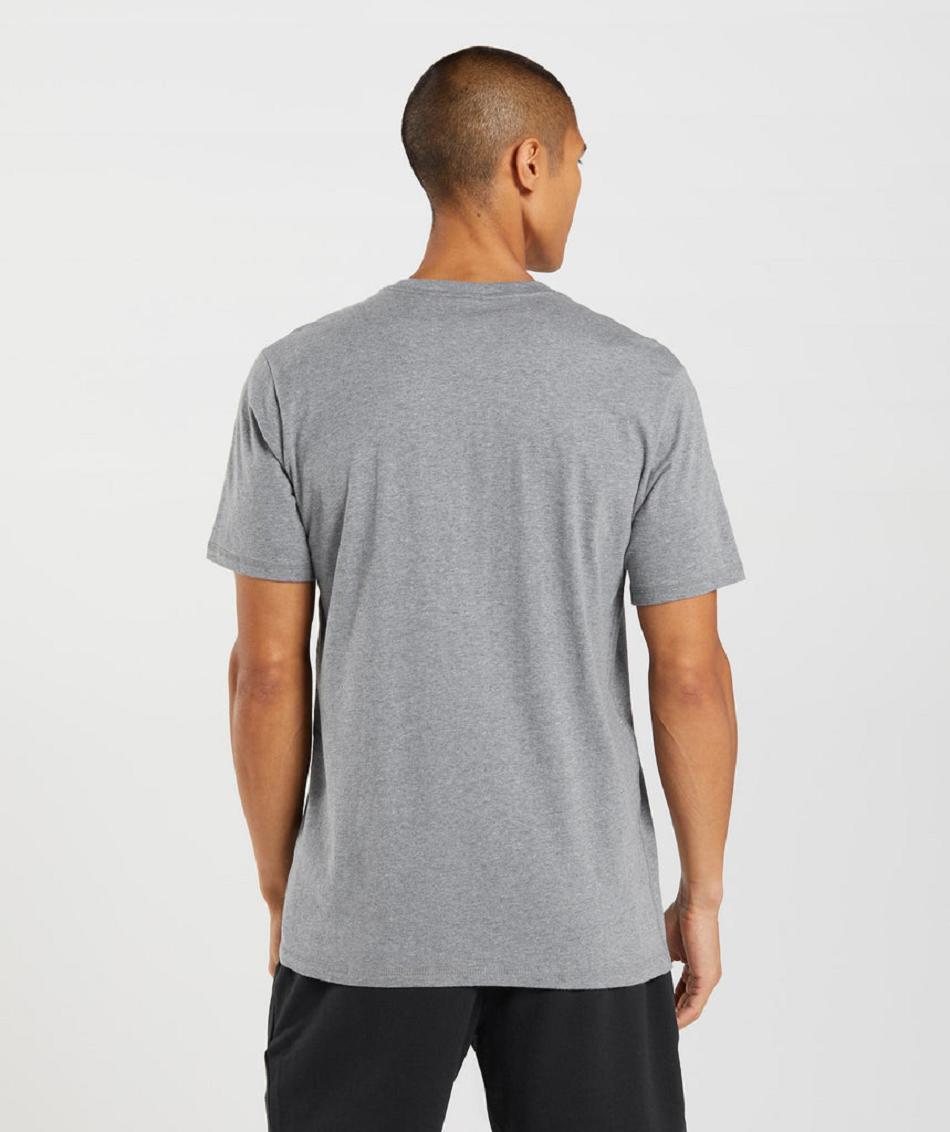 Gymshark Sharkhead Infill Muške T Shirts Sive | HR 2481MQZ